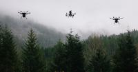 flash forest scatters millions of seeds across canada’s wildfire-damaged landscapes