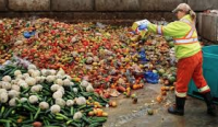 Global food waste study ranks Canada poorly 