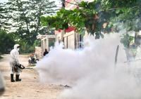 Public Health confirms 15 cases of dengue this week