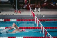 No. 2/5 Indiana swimming and diving rout University of Kentucky, USC