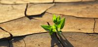 Day Against Climate Change: What We Eat, the Missing Variable in Latin America’s Climate Agenda