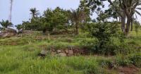 Togo: lawmakers approve agricultural bill in first reading