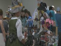 Trick or Treat Fest brings pop culture fans to Wilmington