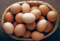 HEALTHWISE: Eggs are back in fashion – but only if cooked