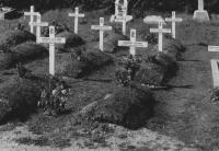 Reflections: We will remember them...