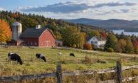 Collins Secures New Tariff Exemptions for Maine for Materials Essential for Agriculture