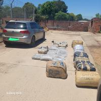 South African Police Arrest Six Eswatini Nationals, Seize Dagga Worth R2m