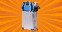 I Don't Travel Without My Rescue Pup, So I Combed The Internet For These 9 Airline-Friendly Carriers