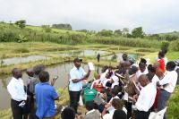 Hundreds of farmers attend NMG farm clinic in Fort Portal