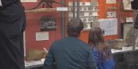 UVM’s Perkins Museum of Geology reopens after 6 years