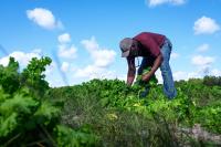Proposed amendment aims to shield more Georgia farms from development