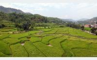 Agricultural zones boost commercial farming in Tanahun