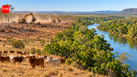 A 67,000-hectare cattle property in Australia faced a land-clearing case for years; a signed settlement will now protect 80 hectares along the Daly River