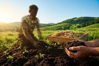 New South Wales Approves Human Composting as End-of-Life Option