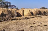 How Zimbabwean farmers are preparing for El Niño