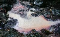 45 drugs detected in Mexico’s Atoyac River, raising concerns about biodiversity and antimicrobial resistance