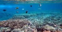 Guam asks federal government to pause Dec. 16 Marianas mining lease sale