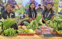 World : Cambodia Resets Economic Growth With Small Industries, Smart Agriculture