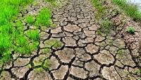 Cebu Capitol proposes ₱354.8M agriculture budget amid El Niño threat