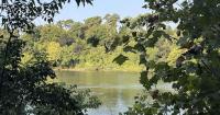 More money from ‘forever chemicals’? Midlands city signs on to expanded pollution lawsuit