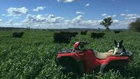 A looming shortage could smash Australia – and no, it’s not petrol