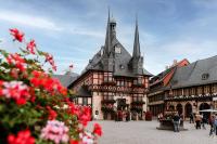 Germany aims to draw more visitors from Qatar, wider GCC