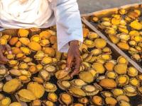 Oman bans abalone fishing until November 2027