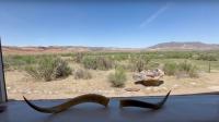 This New Mexico Escape Is An Artist's Sanctuary With Painted Cliffs, Quiet Canyons, And A Historic Ranch