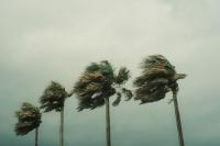 Weather: Severe storms and damaging winds expected in two provinces