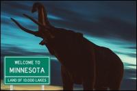 What Happened to These 5 Creatures That Once Roamed Minnesota?