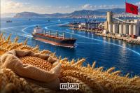 Morocco Should Measure Mediterranean Investment by the Resilience of Its Food Routes