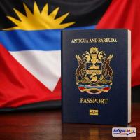 PM Browne Says CIP Suspension Likely by November 12 to Preserve Schengen Access