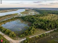 Cox Enterprises conservation deal: Why 4,400 acres at South Carolina's Clarendon Farms will remain wild