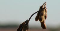 This Week in Agribusiness, Oct. 24, 2026