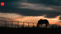 Hendrie Ranch Conservation Easement: Florida approves $12.9m deal; wildlife corridor stays working