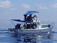 US Coast Guard repatriates 63 migrants to Dominican Republic after sea interception