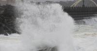 One dead, 500 injured as Typhoon Champi sweeps Taiwan