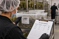 Closing the Gaps in Cannabis Dry-Room Handoffs