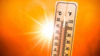 South Asia: Four South Asian neighbours join forces to tackle rising heat risk