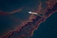 The UN opens negotiations to create an international protocol against transnational environmental crimes