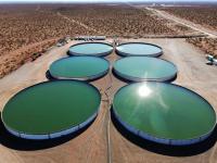 Sustainable agricultural projects in Vaca Muerta by oil companies to reuse water in Neuquén