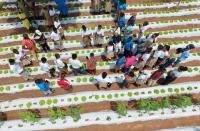 Farmers urged to grow more with less as horticulture project promotes climate-smart methods