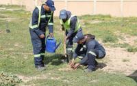 Forest Protection in Mostaganem: 2,500 saplings planted and 100 hunters in training