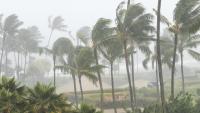 School holiday on October 26, 28, 29 in Tamil Nadu, Odisha amid rain, Cyclone Arnab alert