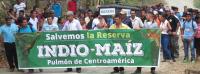 Where Environmental Defense Meets the Fight for Democracy: Fundación del Río 