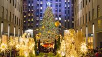 11 Best NYC Hotels To Stay At During Christmastime