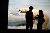 ‘Once we lose these, they’re gone forever’: What will become of the dioramas at the Academy of Natural Sciences?