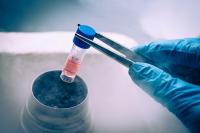 What is on Sonic Healthcare's (ASX:SHL) AGM agenda this year?