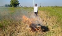 After Gadwal, Suryapet farmer sets crop ablaze as water, power crisis deepens