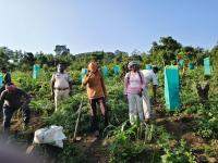 2,000 cannabis plants destroyed; one held